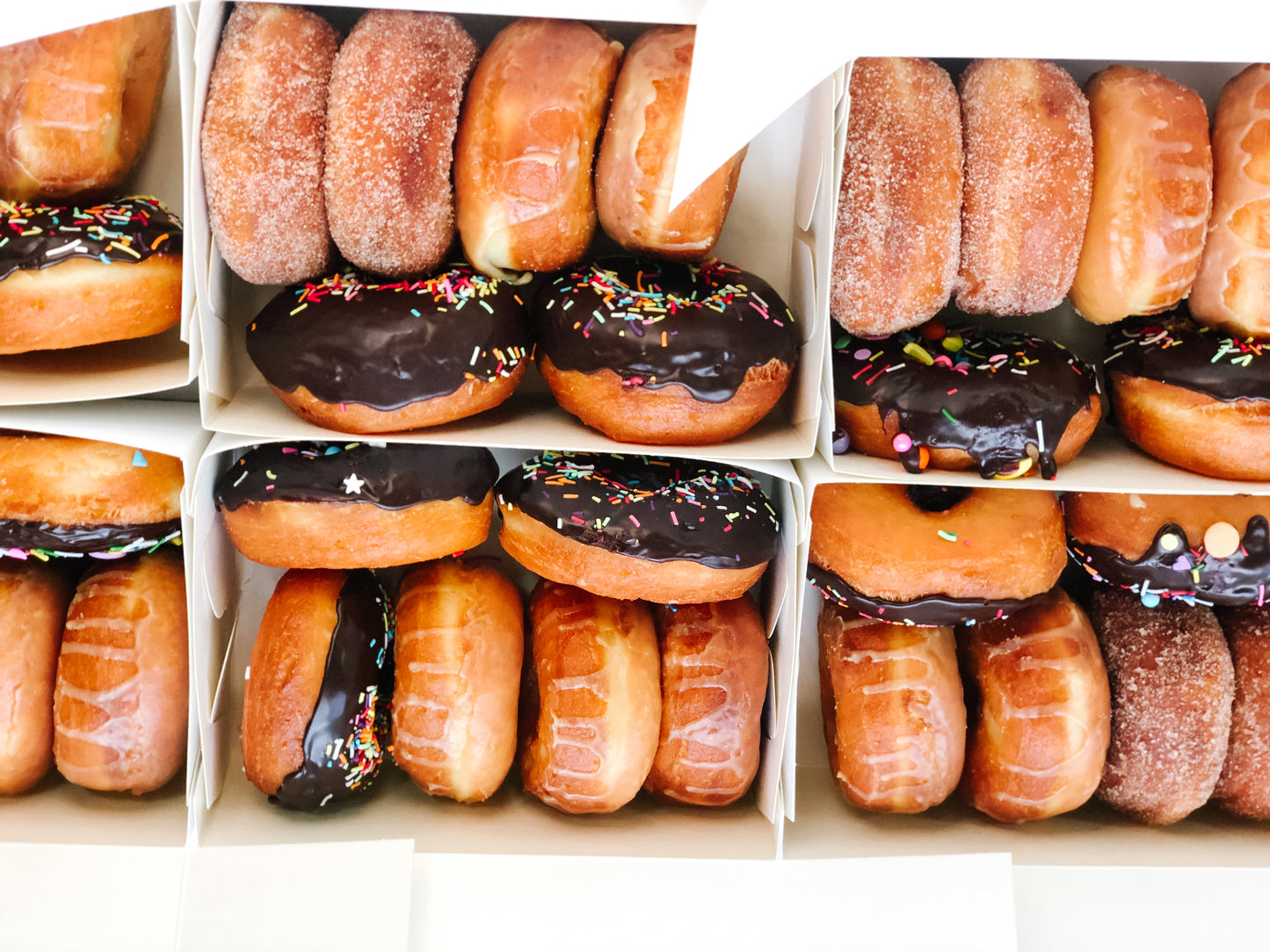 Daily Mixed Box of Donuts