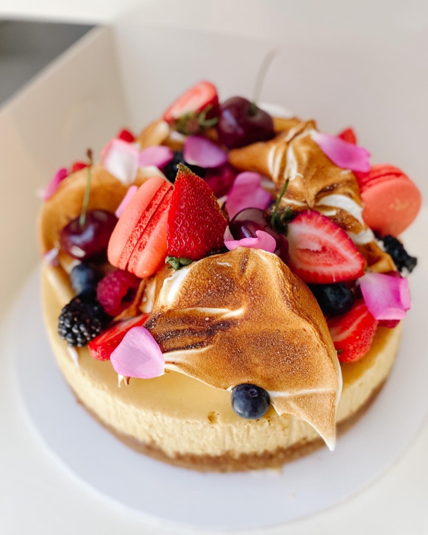 Signature Cheesecake – White Rabbit Cakes